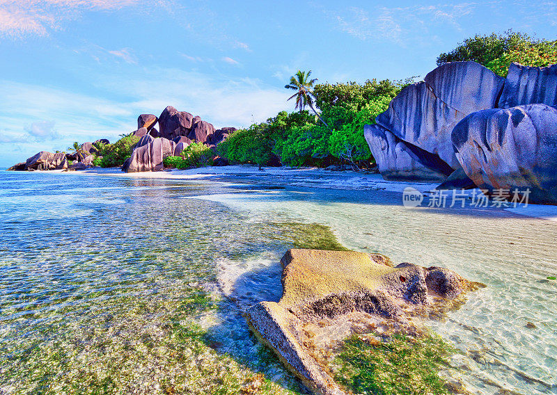 Anse Source D'Argent海滩，塞舌尔